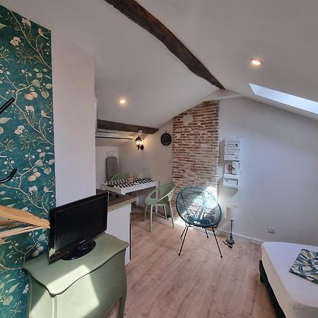 Le Studio Du Docteur Privey - Free & Secure Park Bike Tournus Ngoại thất bức ảnh